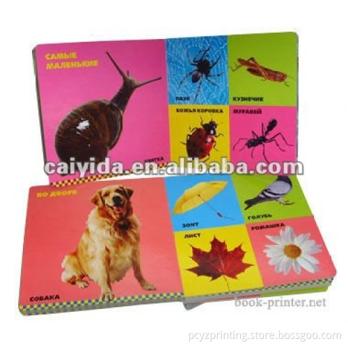Children's Cartoon Cardboard Book Printing Service